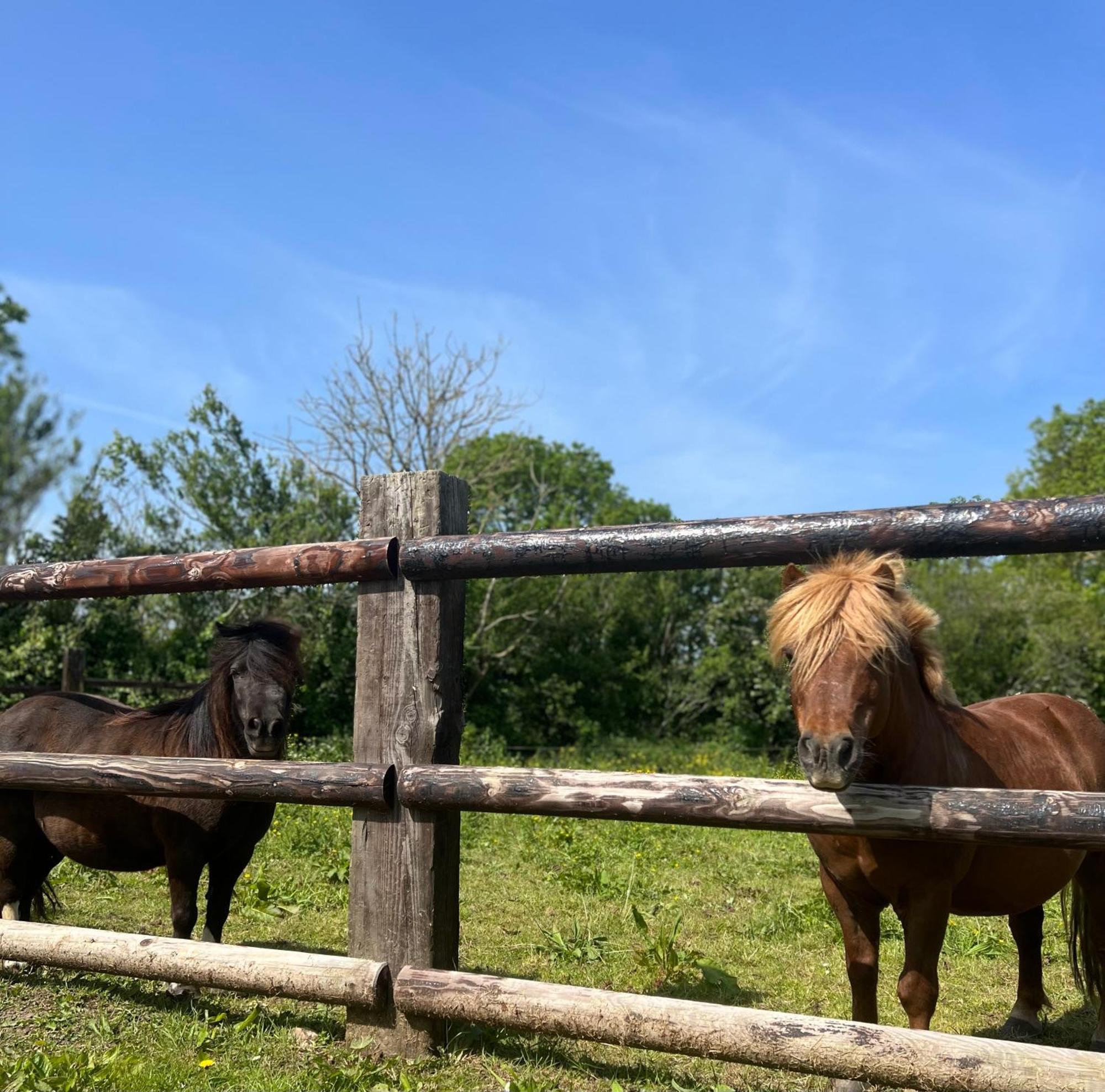 La Forge, Gite Familial,A Sainte Mere Eglise别墅 外观 照片